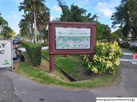 The Botanical Gardens – Photos of Guyana