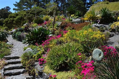 Best Xeriscape Plants: 37 Xeriscaping Ideas | Happy DIY Home