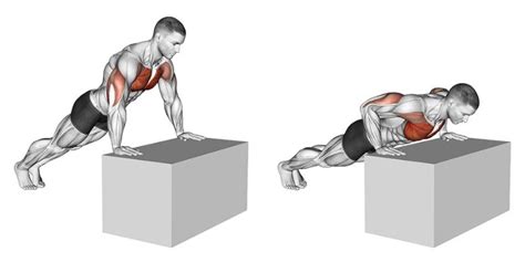 Lower Pec Exercises No Weights | EOUA Blog