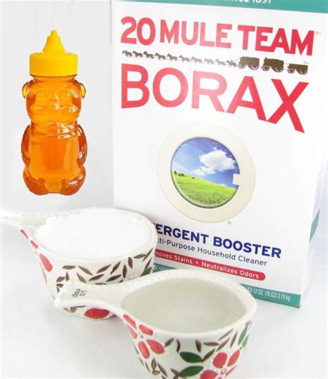 Borax Ant Killers - Testing 5 Different Natural Ant Killers Against Terro | Borax for ants, Ants ...