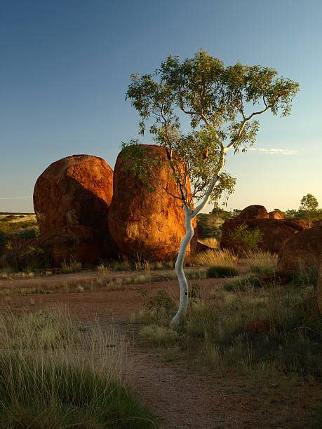 40+ Devils Marbles At Sunrise Northern Territory Australia Stock Photos, Pictures & Royalty-Free ...