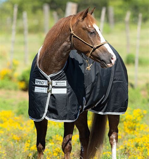 Amigo Stock Horse Rain Sheet- Horse Blankets