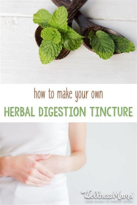 Herbal Digestion Tincture Recipe | Wellness Mama