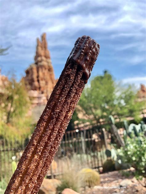 Disneyland Review: Chocolate Cinnamon Sugar-Dusted Churro With Spicy ...