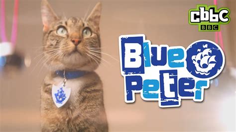 CBBC: Blue Peter Badge - Get Yours! - YouTube