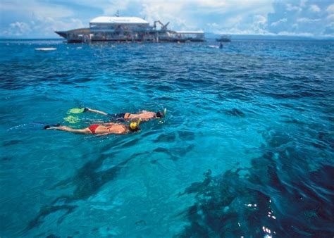 Port Douglas Reef Tours | Barrier Reef Pontoon Platform | Snorkel & Dive Trips