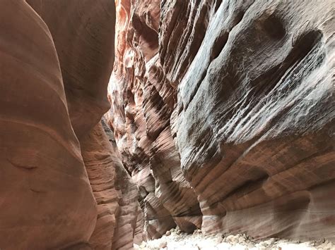 Lincoln National Forest, NM, USA : r/hiking