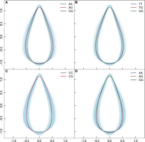 Frontiers | Identification of Quantitative Trait Loci for Altitude Adaptation of Tree Leaf Shape ...