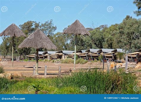 Bush Camping for Tourists stock image. Image of campground - 148912467