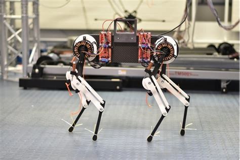 Robot Dog Learns to Walk in One Hour - Neuroscience News