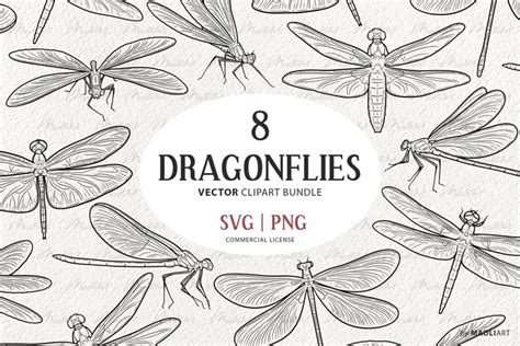 8 Dragonfly Vector Clipart. SVG Damselfly Outline