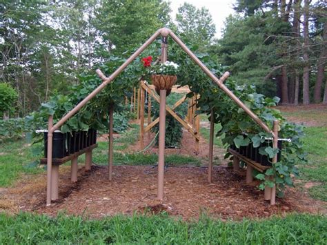 16 DIY Cucumber Trellis Ideas That Are Easy to Build