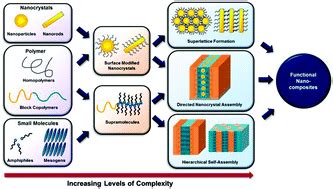 Toward functional nanocomposites: taking the best of nanoparticles ...