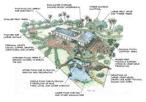 one-acre | Mini farm, Farm layout, Food forest garden