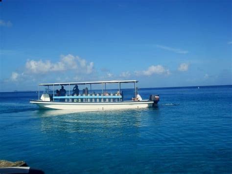 Best Diving sites in Palau – Scuba dive reviews by Divezone