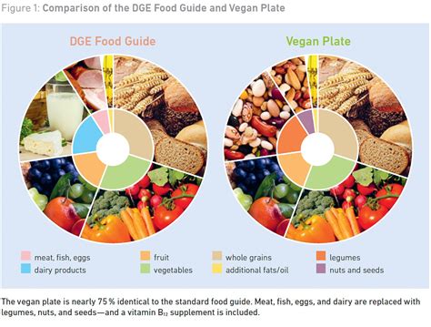 Vegan Food Pyramid - Nutrients & Nutrition Facts - Bianca Zapatka | Recipes