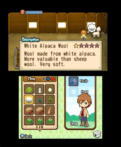 Harvest Moon 3D: The Tale of Two Towns (3DS) Screenshots