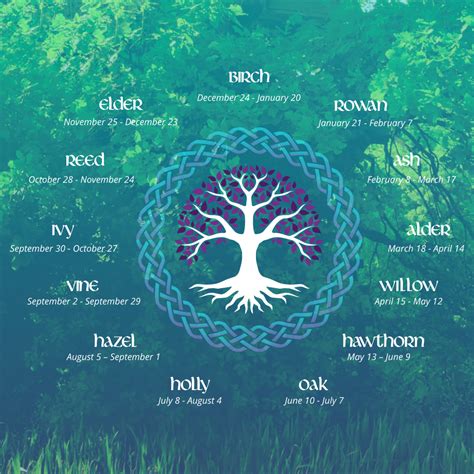 What Is Your Celtic Tree Birth Sign: Celtic Tree Zodiac Signs ...