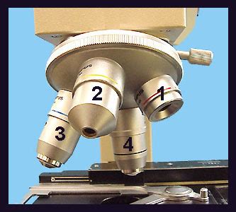 Which Objective Lens Provides the Least Total Magnification