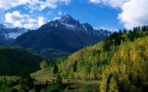 Trees hills mountains fall forest sky wallpaper | 2560x1600 | 132794 ...