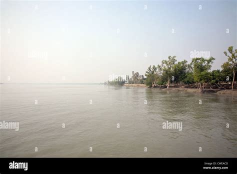 Ganges river delta hi-res stock photography and images - Alamy