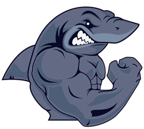 Shark PNG Transparent Images Free Download - Pngfre