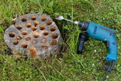 6 Tree Stump Removal Options to Get Rid of Stumps Painlessly