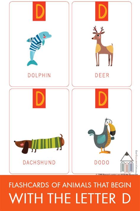 the letter d flashcards with animals and letters