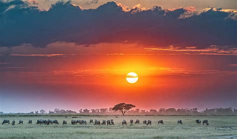 Amboseli Sunrise Photograph by Jeffrey C. Sink - Fine Art America