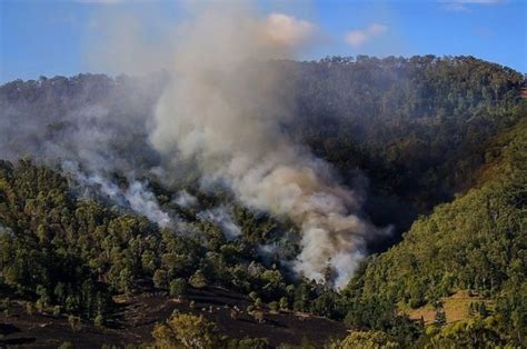 Wildfires in Australia - The Permaculture Research Institute