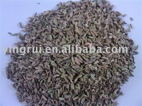 cummin seeds,China price supplier - 21food