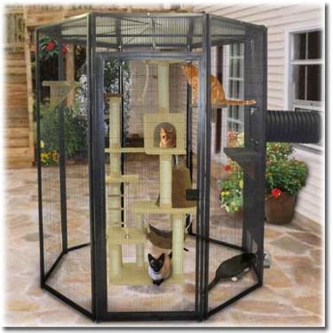 Outdoor Cat Enclosures For Sale | Foter