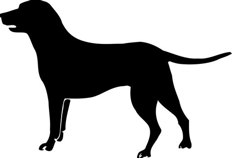 Black Dog PNG Transparent Images