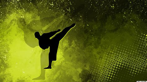 Karate Wallpaper (73+ images)