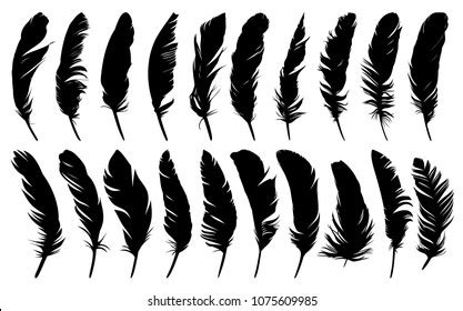 38,874 Crow Silhouette Royalty-Free Photos and Stock Images | Shutterstock