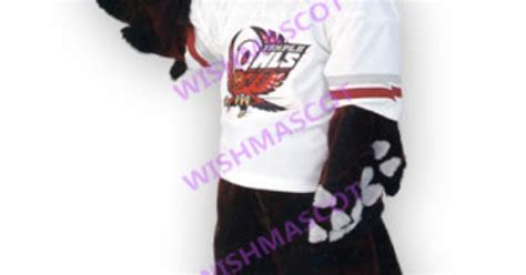 Temple Owls Mascot Costume