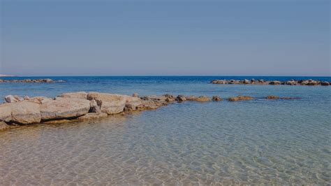 Ayia Napa Marina | Luxury Marina in Cyprus