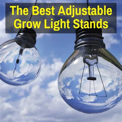 Adjustable Grow Light Stand: The Best Indoor Plant Light Racks