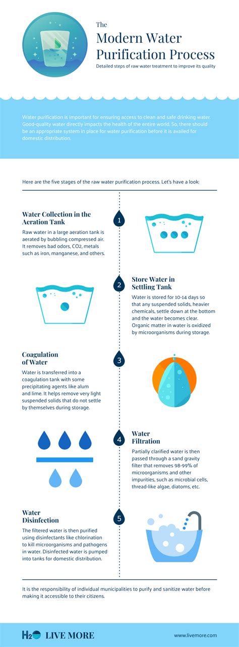 Water Purification Process Infographic Template - Venngage