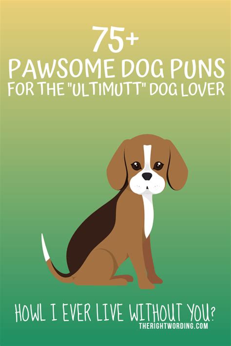 75+ Pawsome Dog Puns For The "Ultimutt" Dog Lover