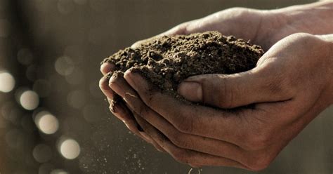 Why Soil Conservation Is So Critical Today | The Interfaith Center for Sustainable Development