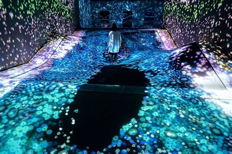 teamLab Forest Fukuoka