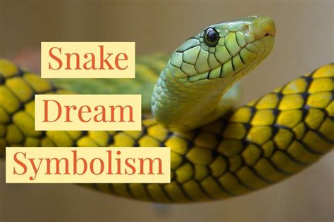 ¿Qué es el número de serpiente?? - startupassembly.co