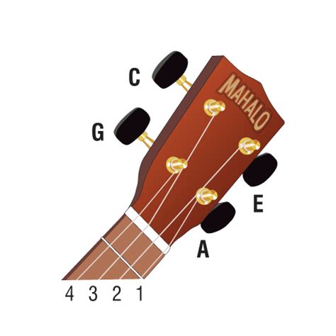 Basic Ukulele Chords - Mahalo Ukuleles