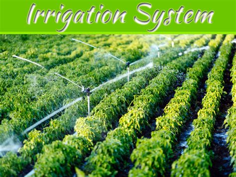 Advantages & Disadvantages of Irrigation Systems | My Decorative