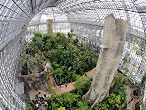 Berlin Botanical Garden Greenhouse | Fasci Garden