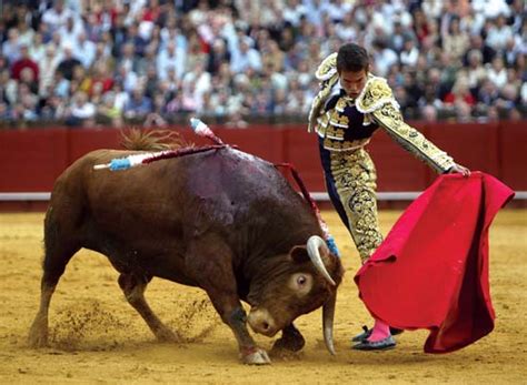 matador | bullfighter | Britannica.com