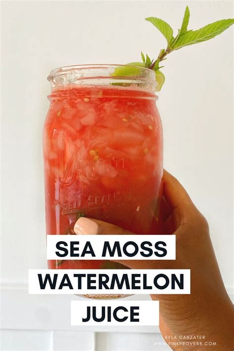 Watermelon Sea Moss Juice | Sea Moss Drink | Recipe | Sea moss, Irish moss recipes, Juice ...