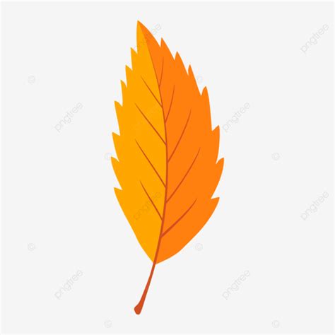 Autumn Orange Fall Leaf N Flat Style Design Vector, Leaf, Leaves ...