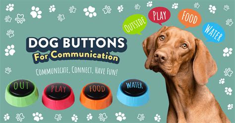 Dog Buttons For Communication | Home